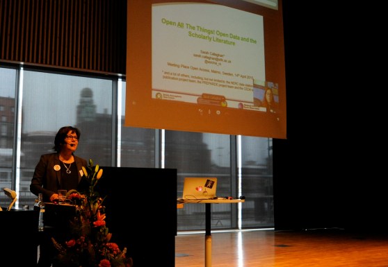 17145687265_b18b8d0a0c_b