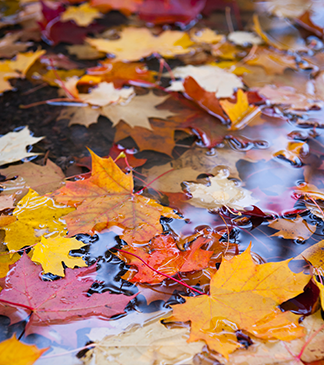 Stockholm University Press