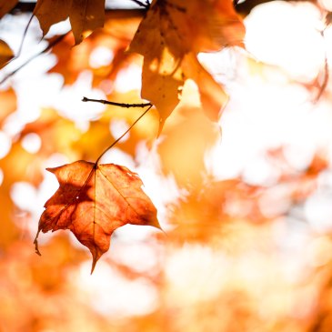 Photo by Matt Lewis on Unsplash