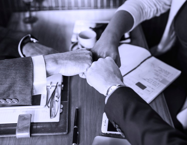 african-african-american-american-black-blond-blond-hair-1451101-pxhere.com (kopia)